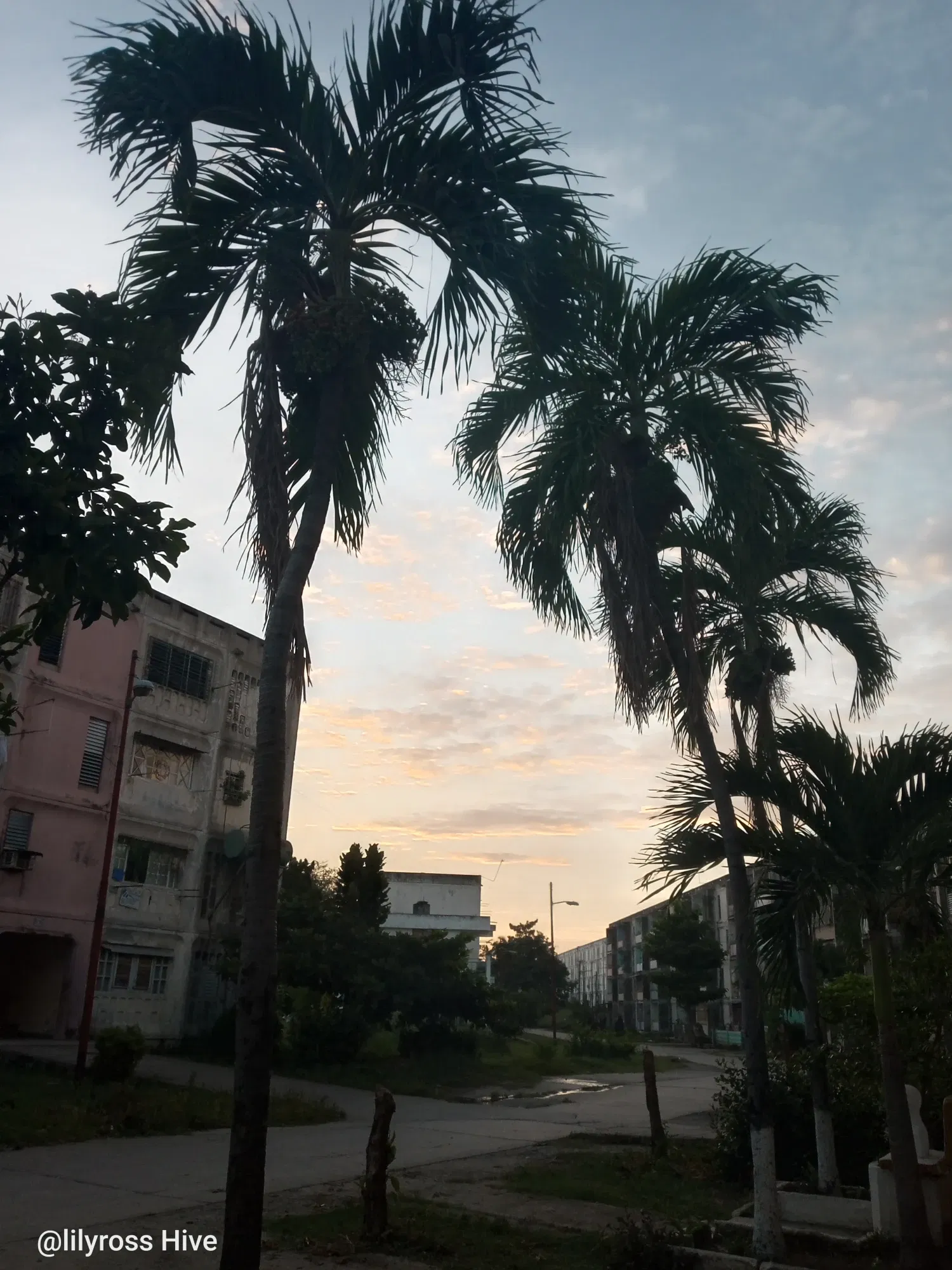 n6AGrvuTXiMmRcBa_1000161600.webp