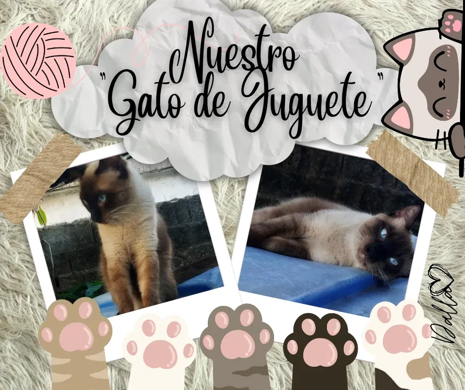 YrcELynUEQxXK3mC_1000686090.webp/