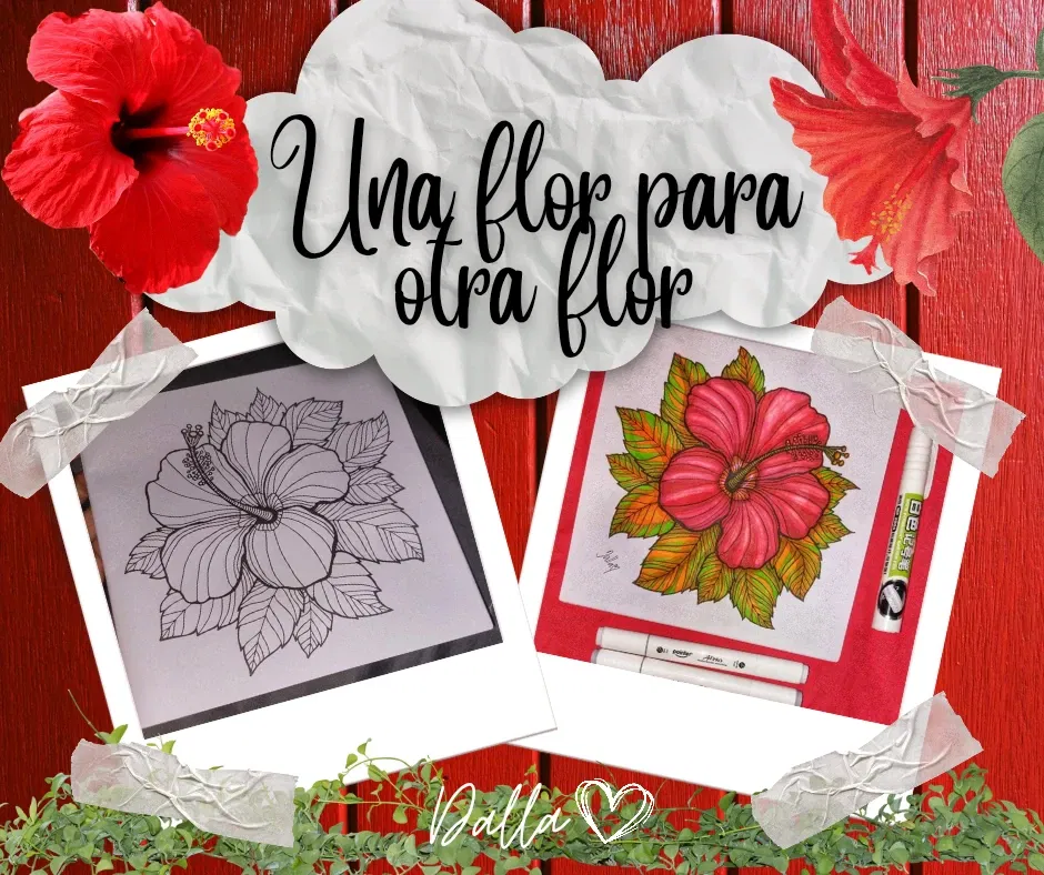 iBR2puMELYhtXfay_1000709628.webp/