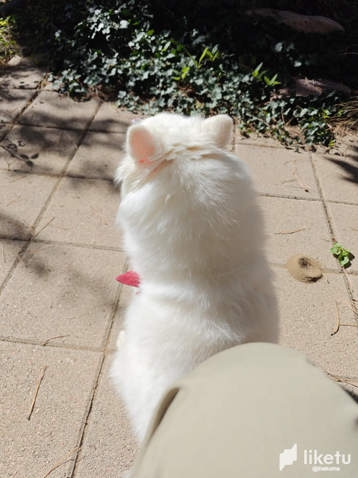 Ta08YziqPjj5xFfV__20250916215340_171_70.webp