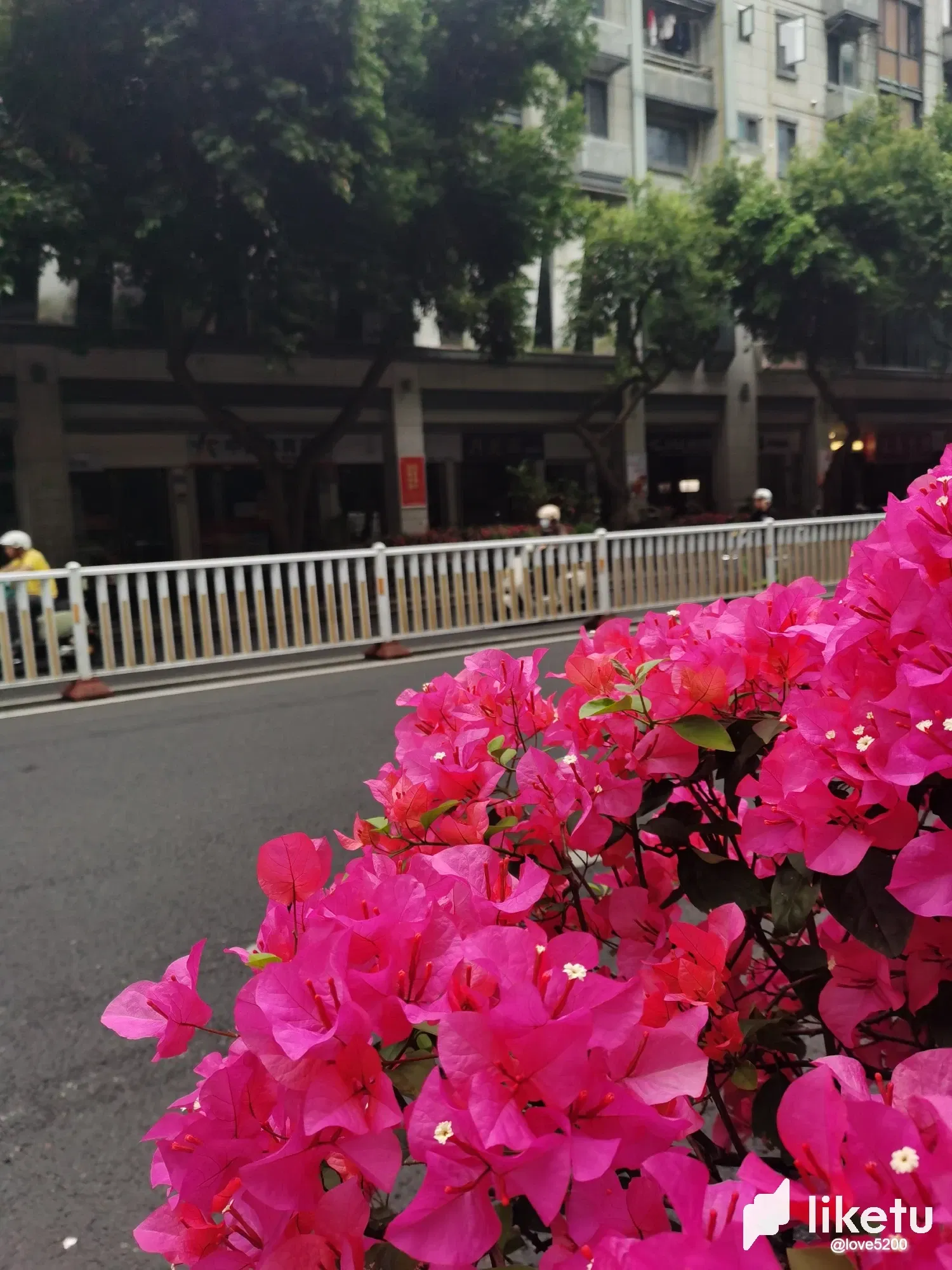ao0Gr5XZzitaigS5_9.webp