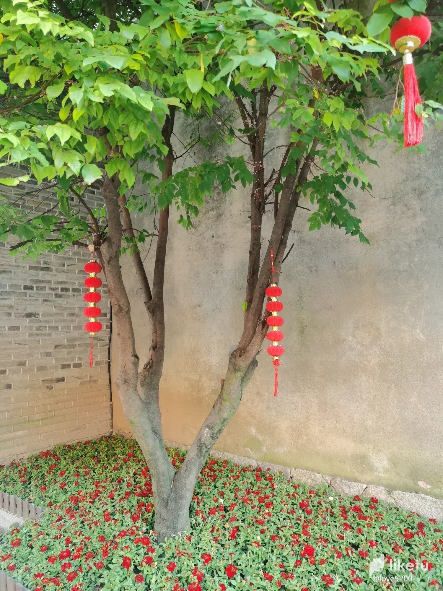 cl8n0zuyi02c30vkchccacutj_4.webp