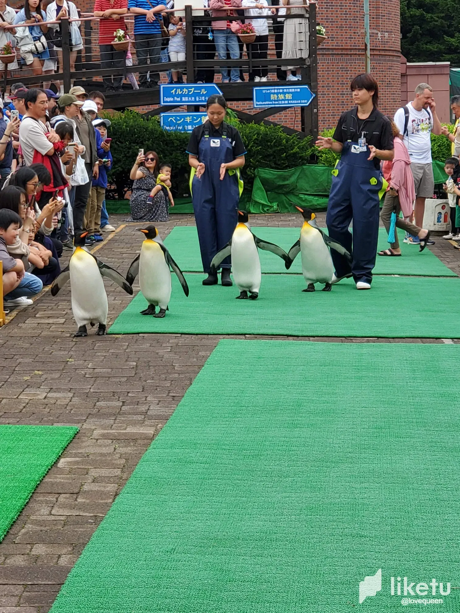 0Ki4t1hIqZhzztMh_20250819_141959.webp