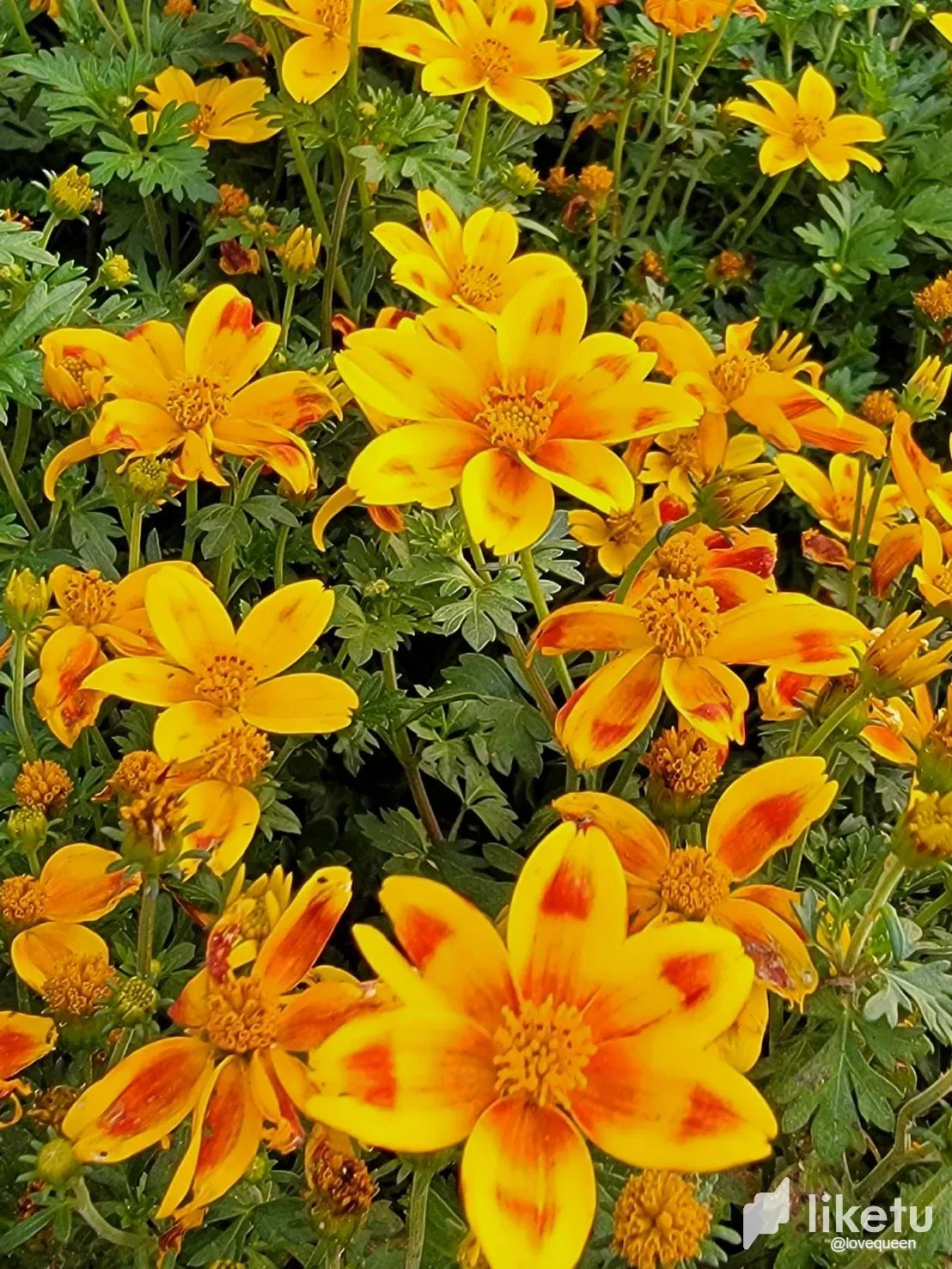 Zw1NDzeyHObArziz_717337_0.webp