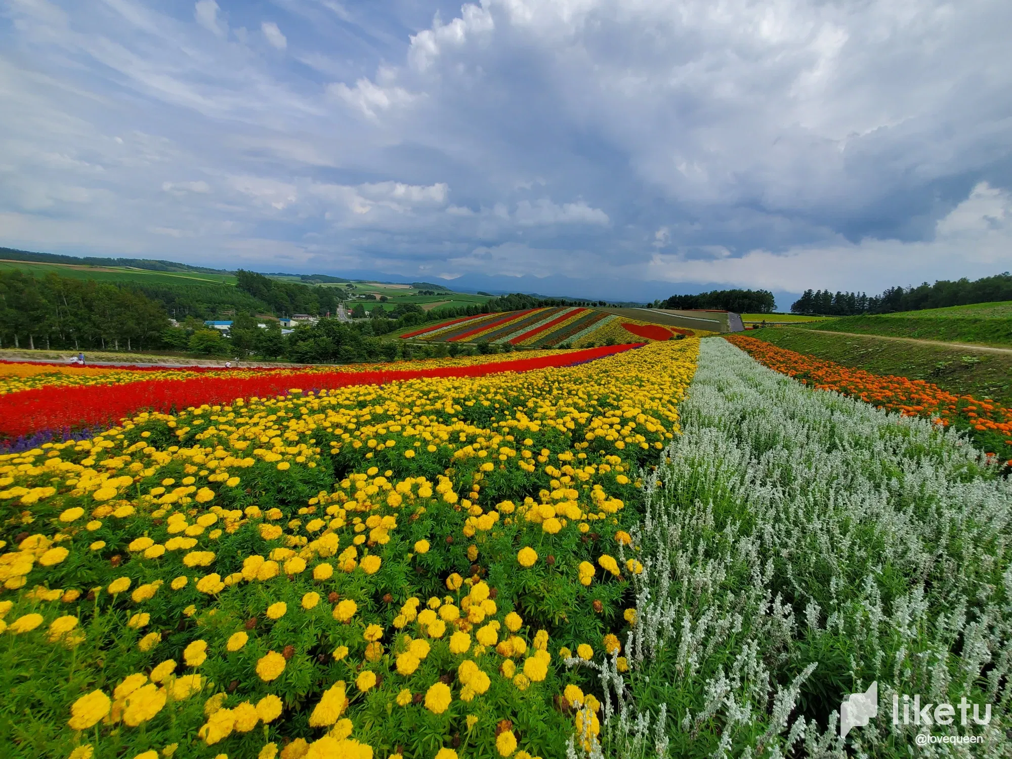 j8anZdrFyobJMMwS_20250820_134114.webp