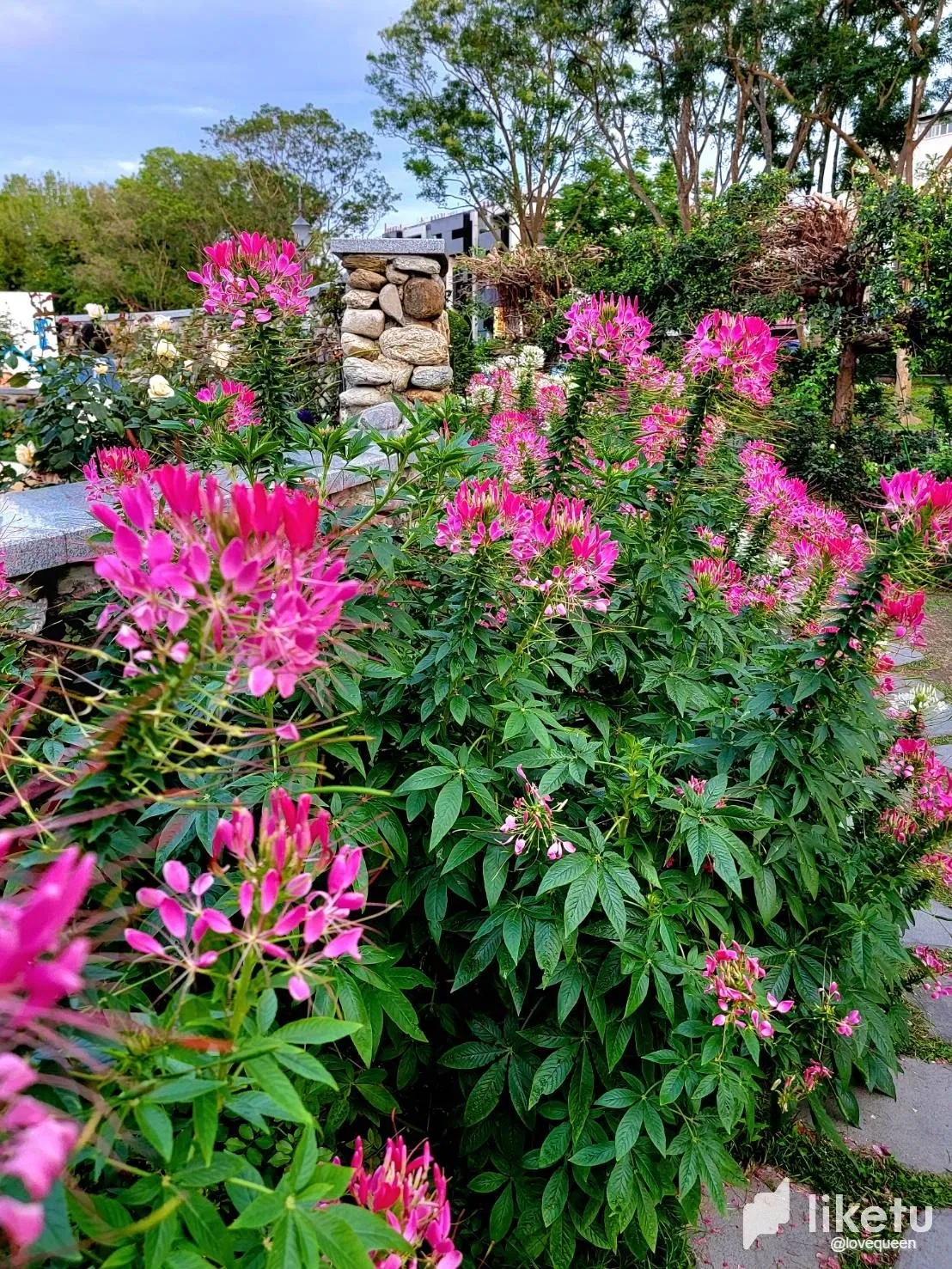 mWklg8f90CDcEYSK_717355_0.webp