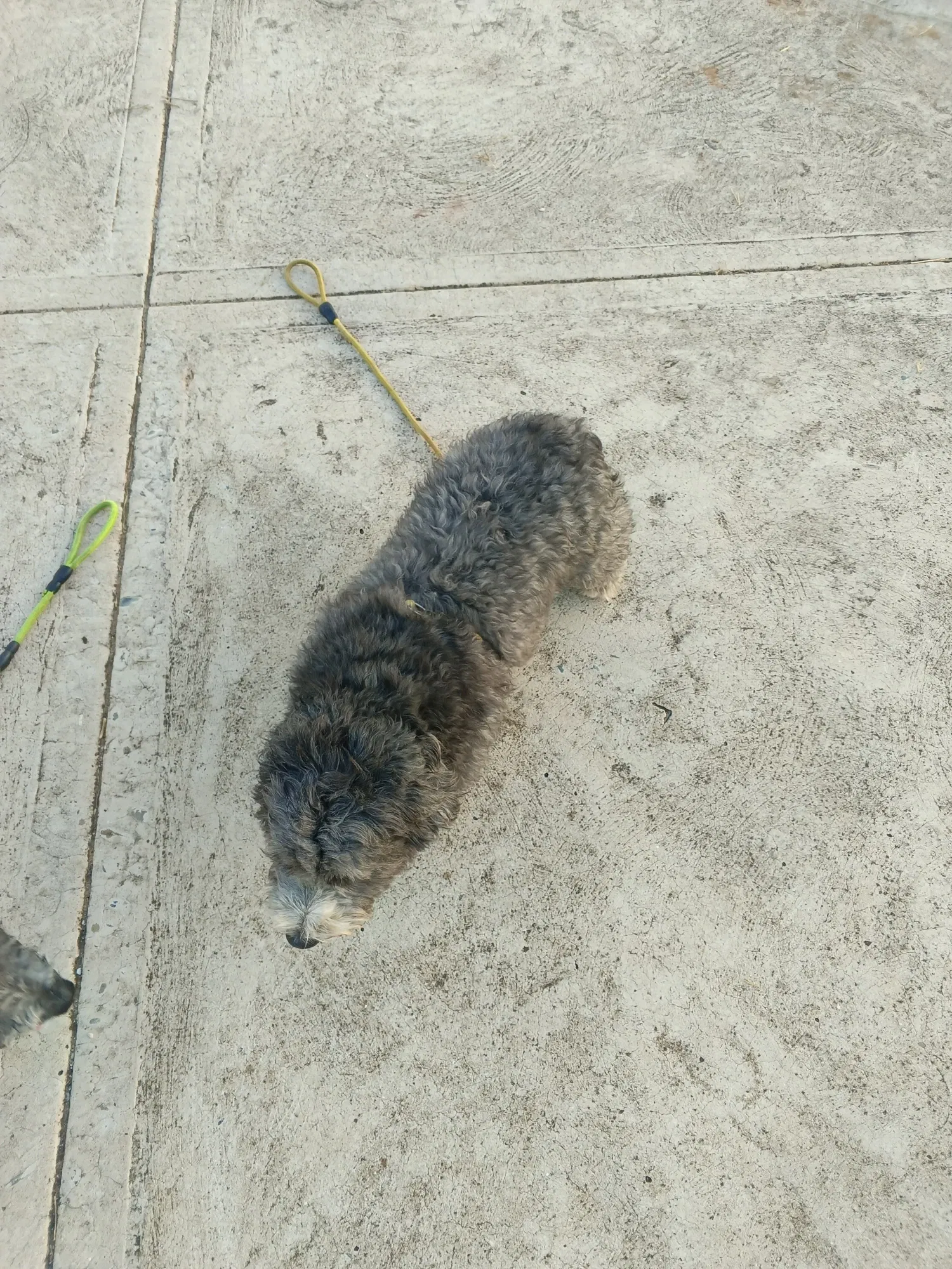l1X2j5cnyAu8Eoem_1000370839.webp