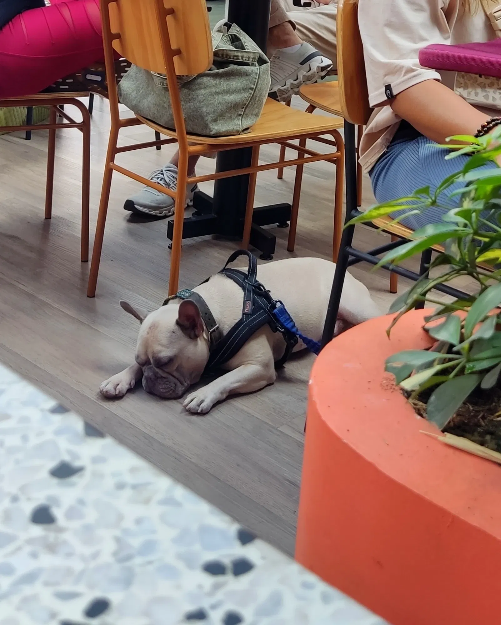 86ZXbc93Sx3Iy60B_1000173108.webp
