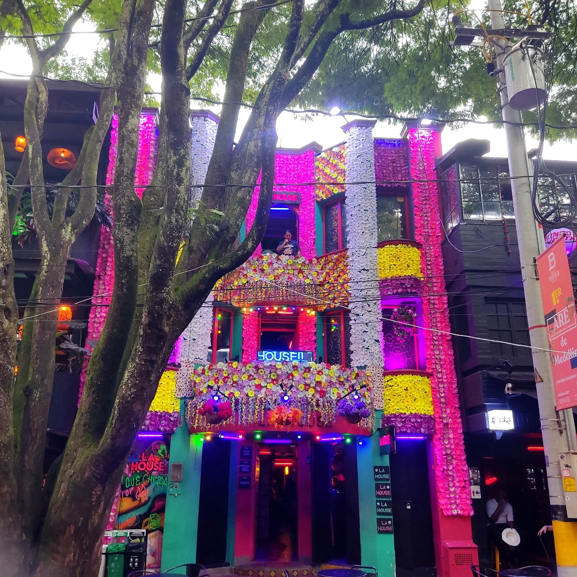 The flower fair begins in Medellín 