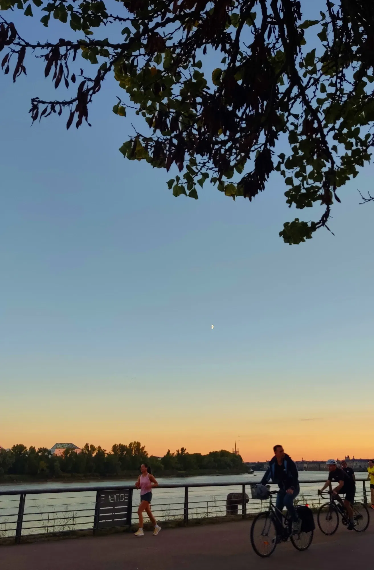 oEHmgmL6F9nFKUIY_1000222346.webp