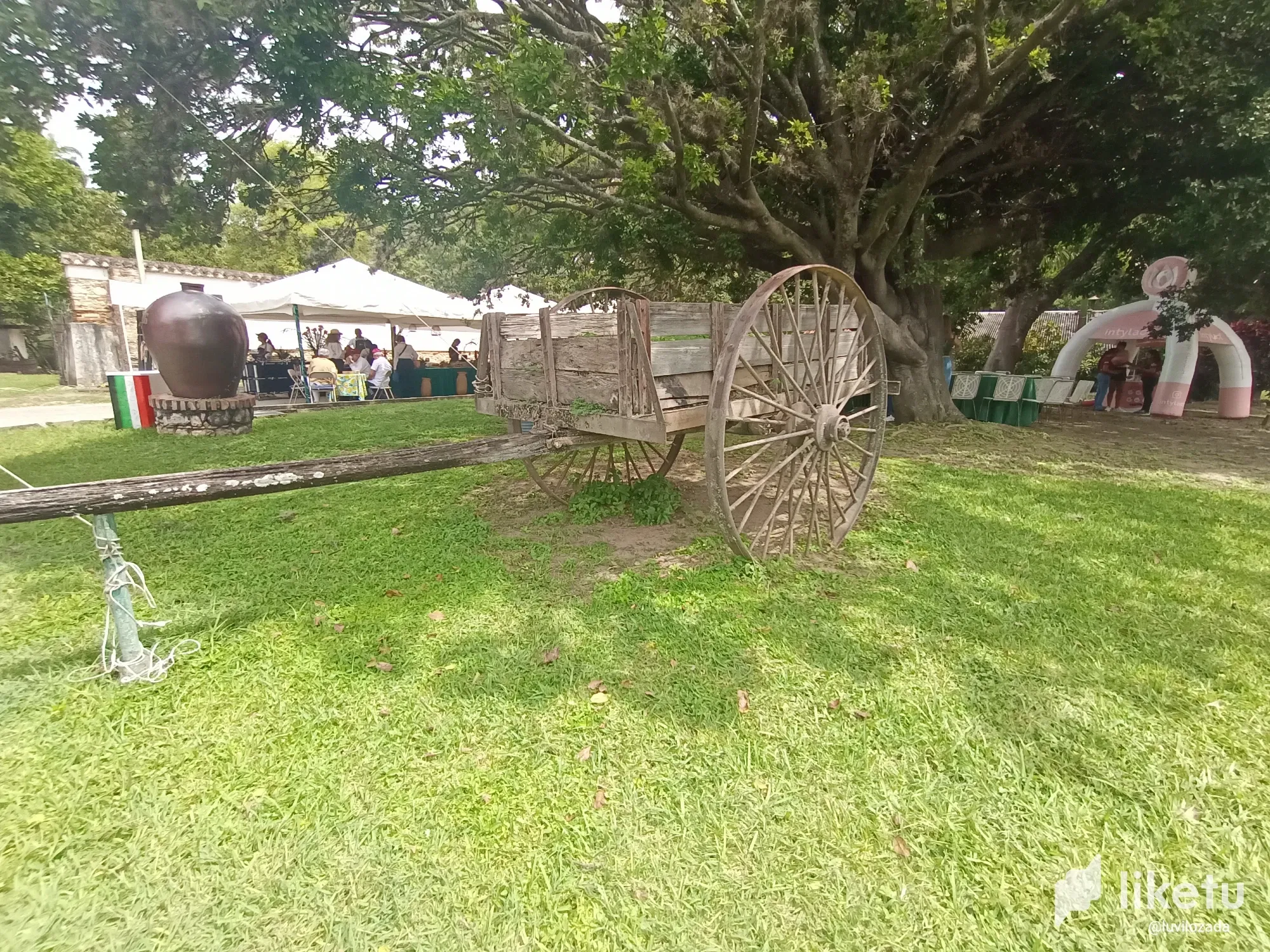 RJskEd0VCMZftOJy_IMG_20250712_110119_810.webp