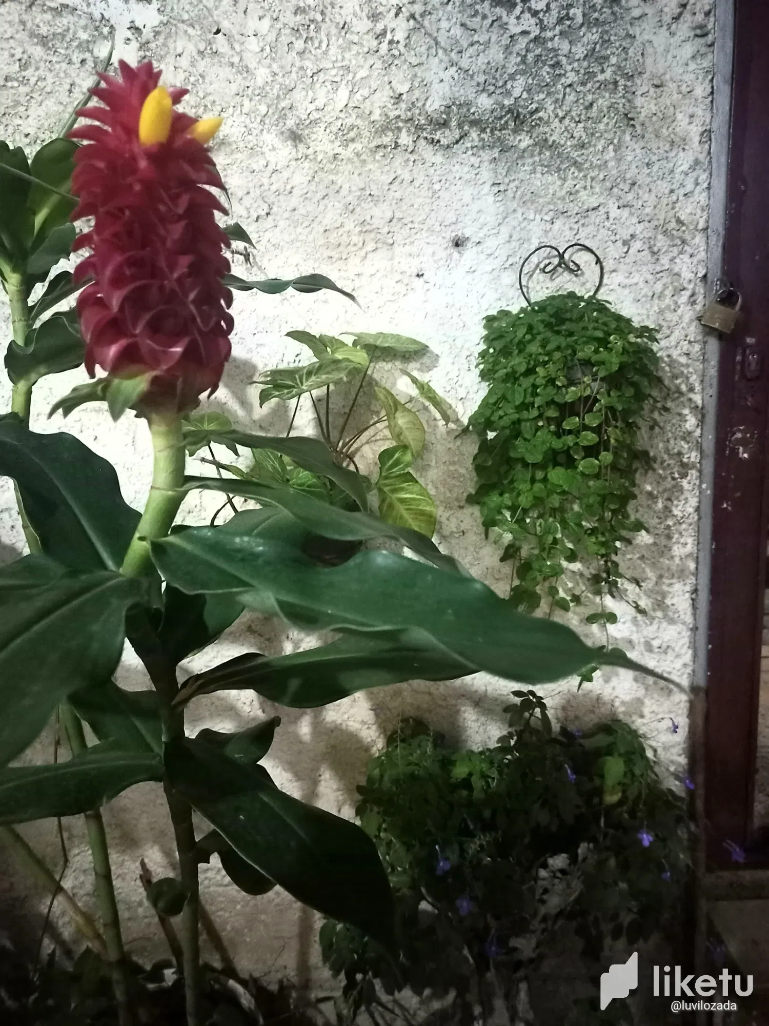 mz5ExjfyHhToImTg_IMG_20250816_190527_181.webp