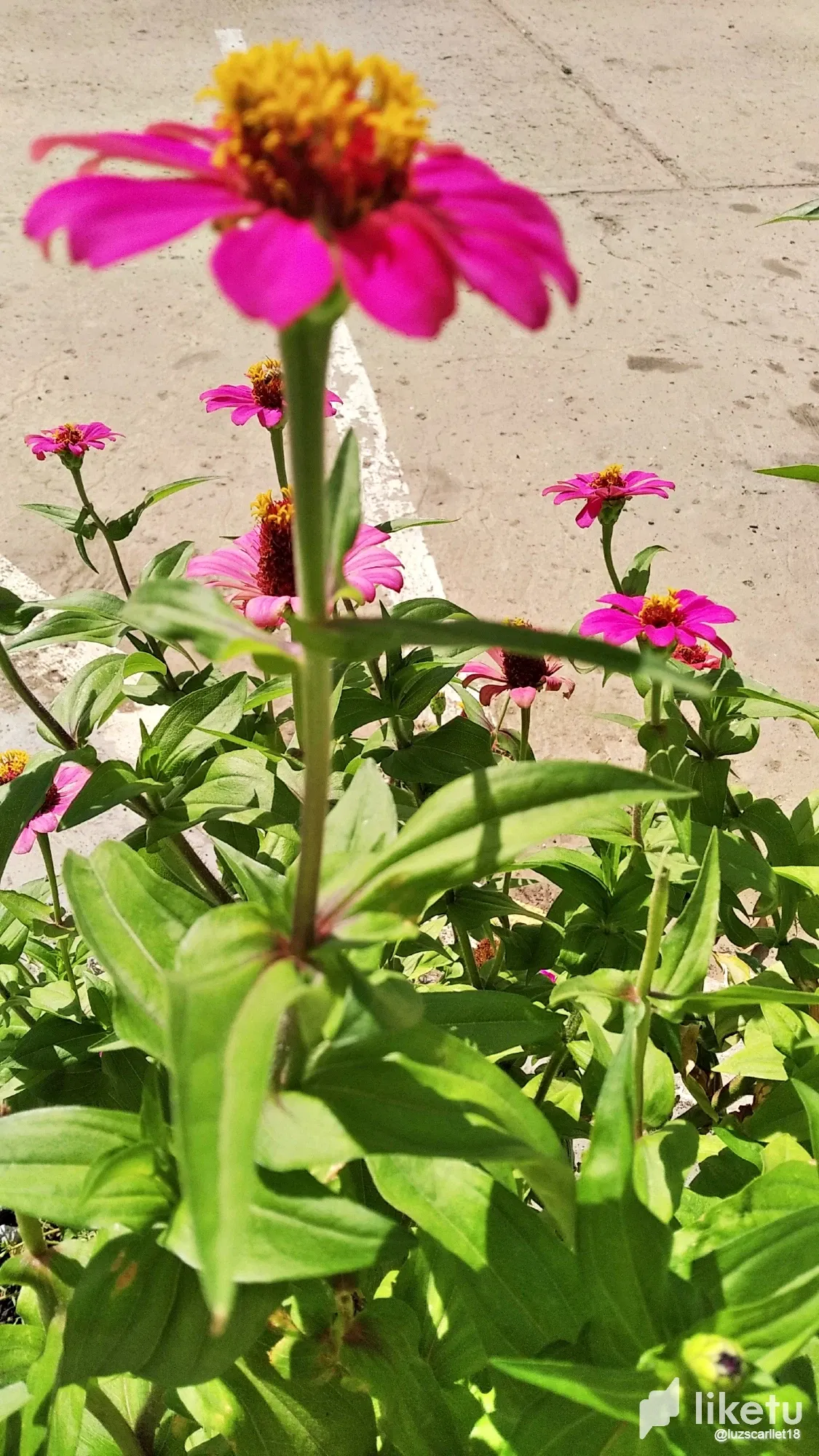 My Beautiful March...! 💝 || Month Recap