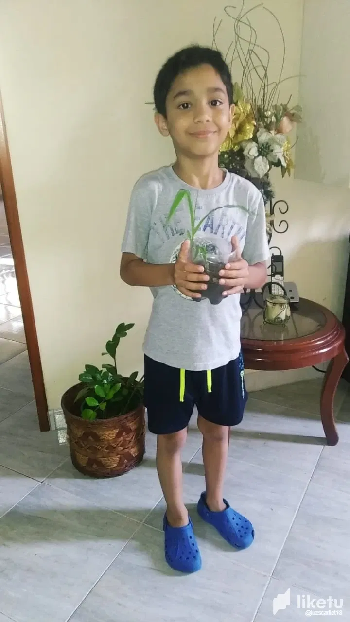 s3HO033pwLPMtFfO_26.webp