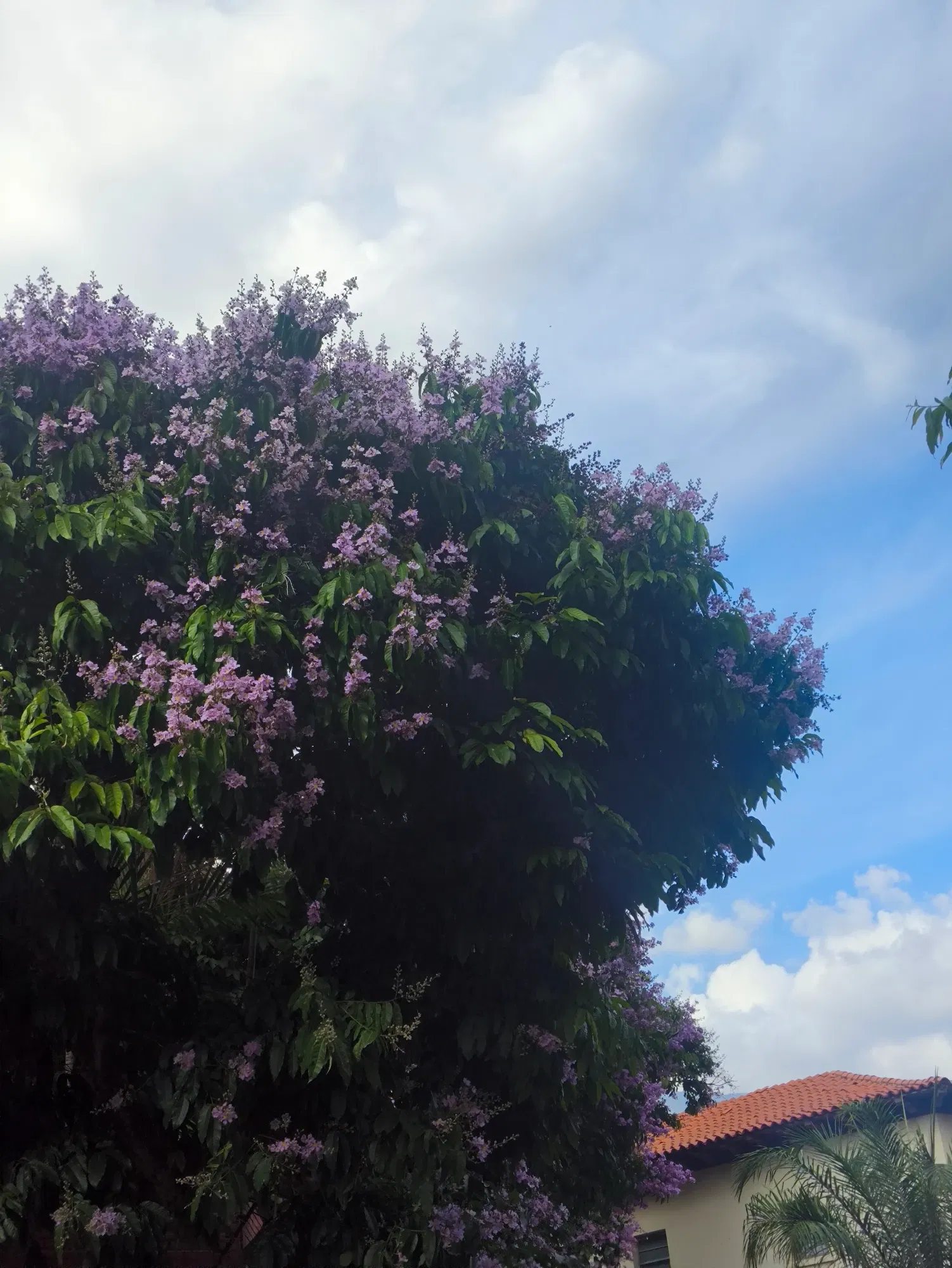 PrLVTyqeUIxXhQ61_1000635190.webp