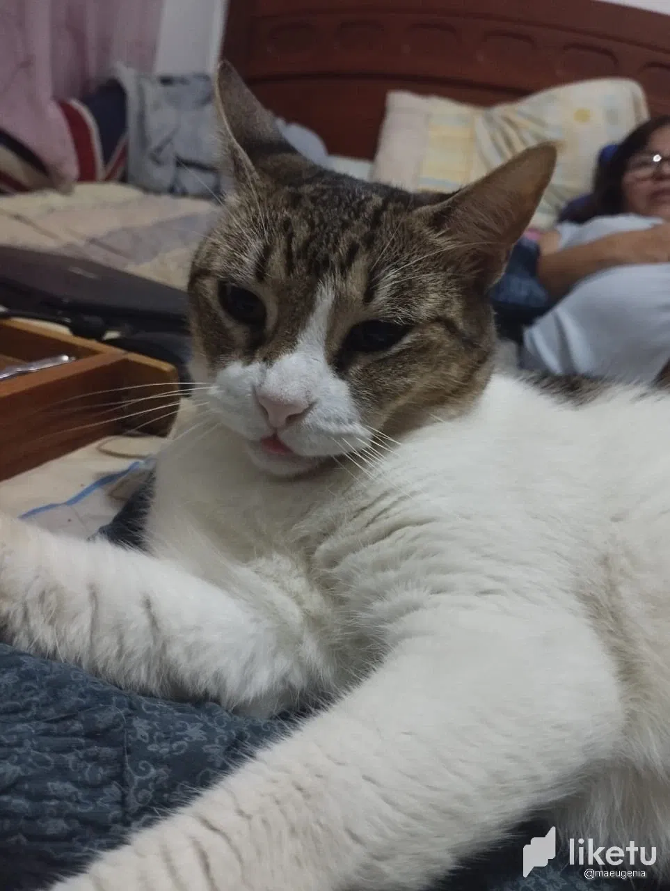 clljll4u4000t5rszdfzpfh02_3.webp