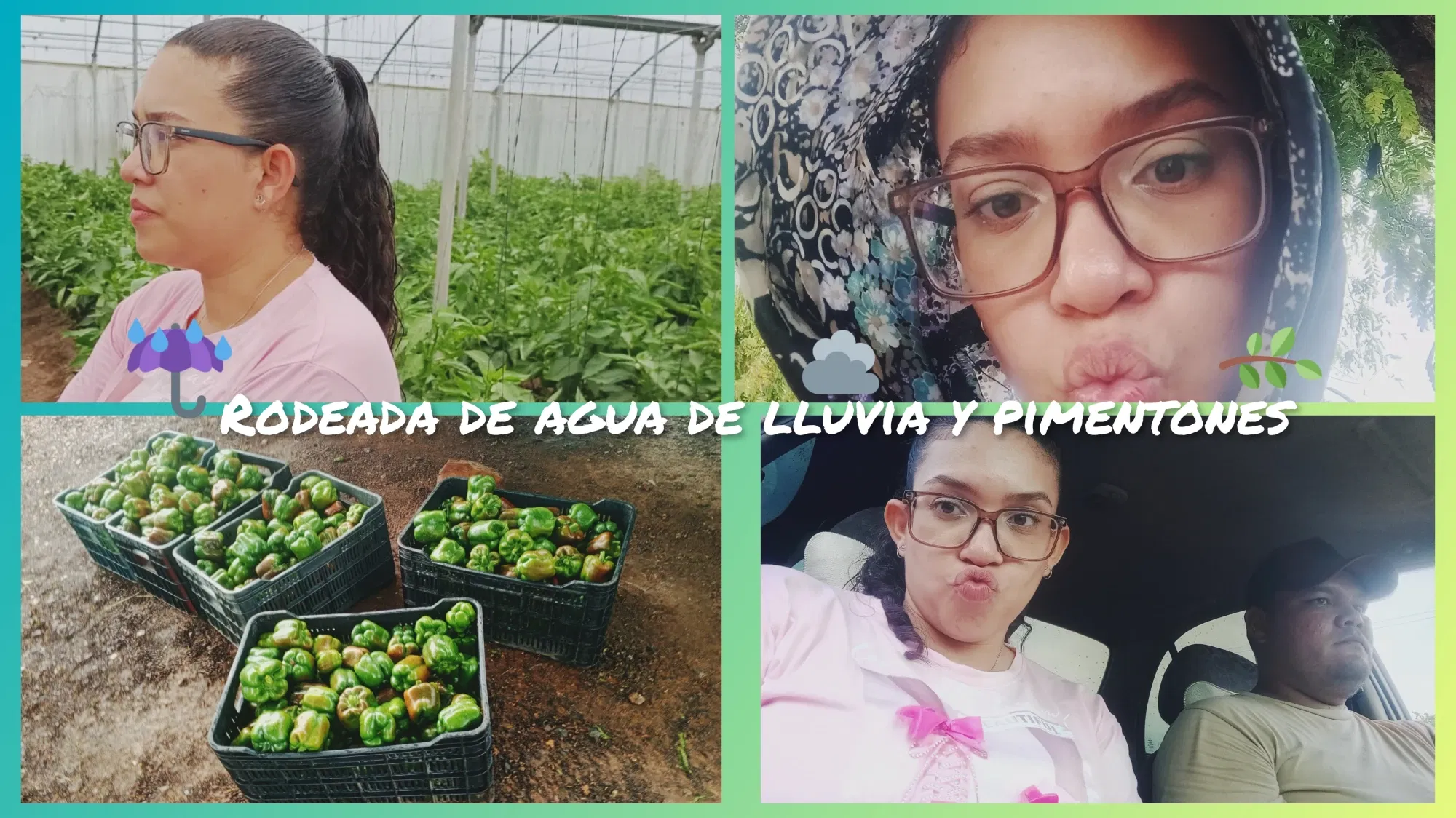 98rM9ifoemwtt1ge_InCollage_20250812_112202733.webp