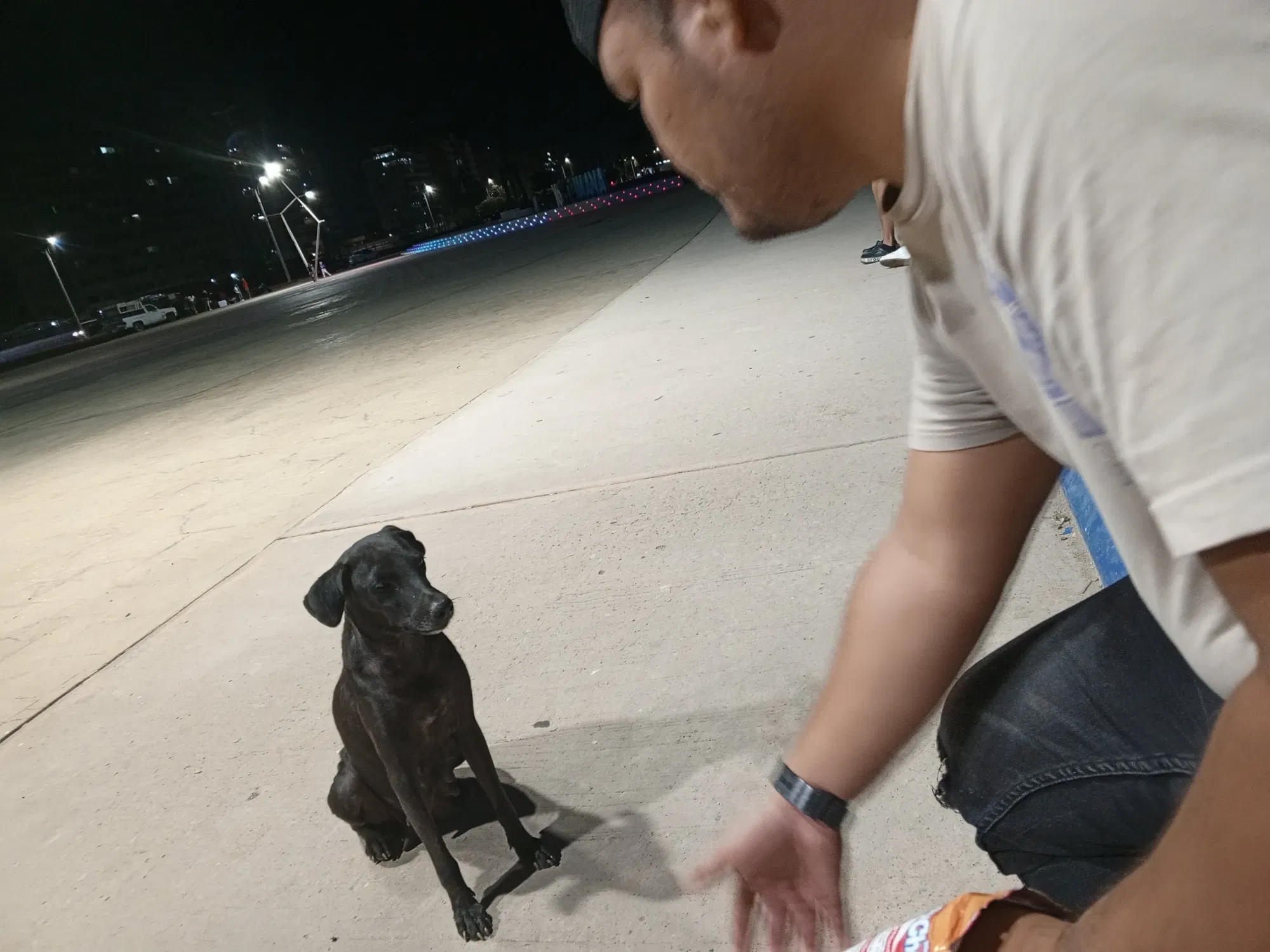 drXLWTY2p74BBwlV_IMG_20250415_214953_042.webp