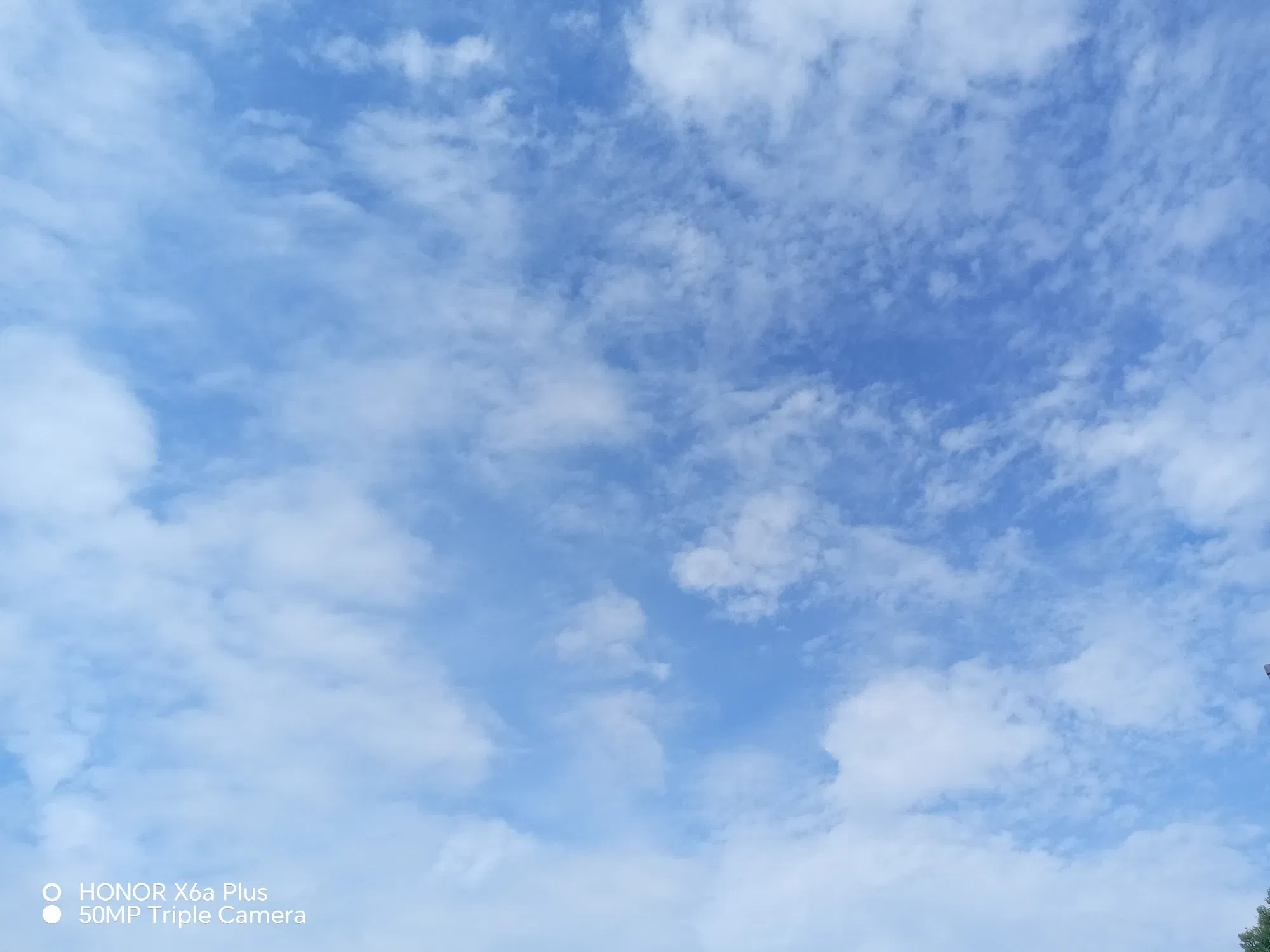 TBe8jd5ek9Jr7vQc_1000505581.webp