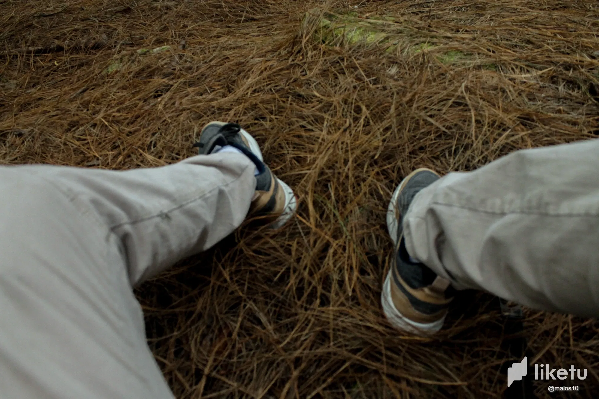clbccbb0n02aw20oqfishezcz__MG_0716.webp