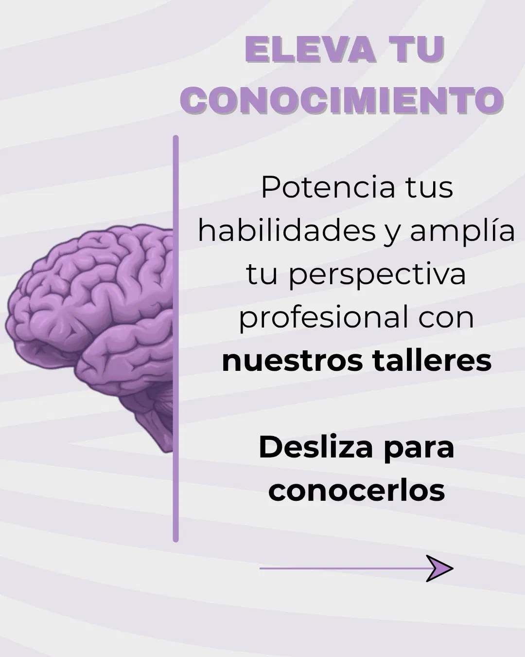 TGO68hHpsaWc27kh_fila-1-columna-1.webp