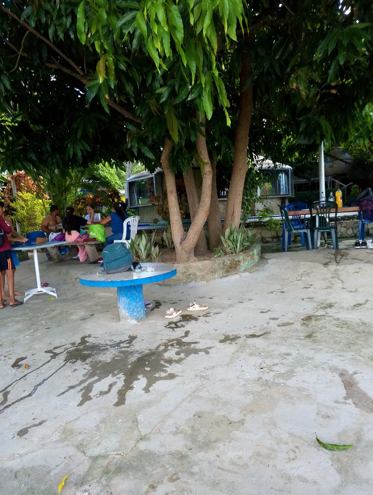 BXhtzTVqn7oQppcr_IMG_20241201_135132_178.webp