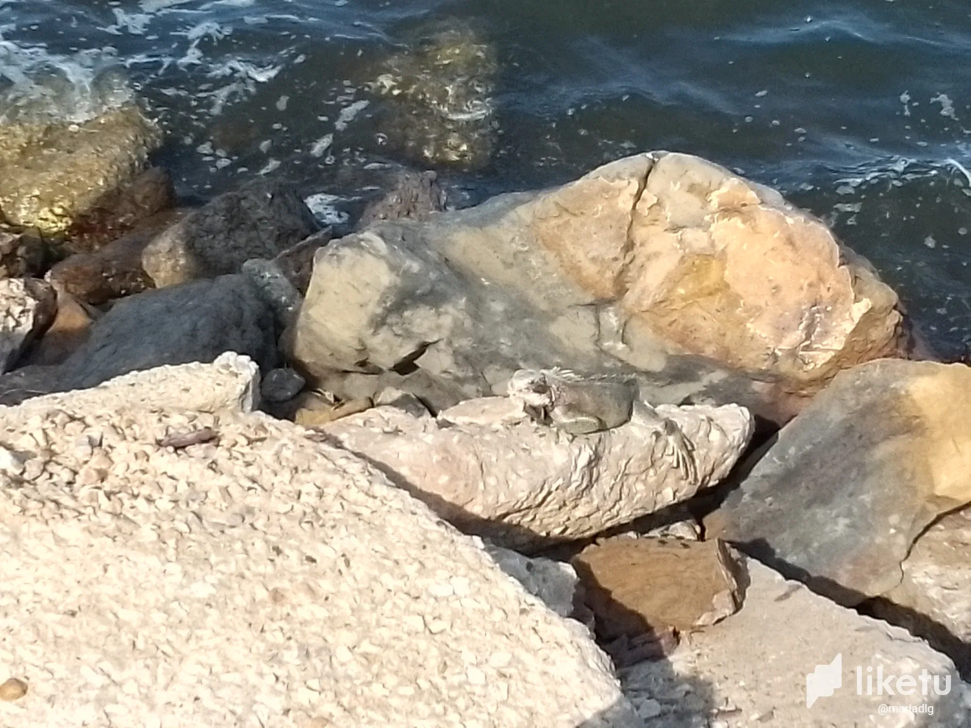 clskvxlqg00027qsz145g463h_IMG_20231203_145500_337.webp