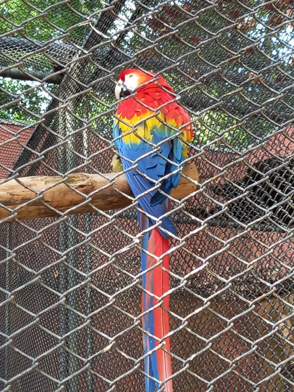 Mi lindo Marzo en fotos 📸 ✨️