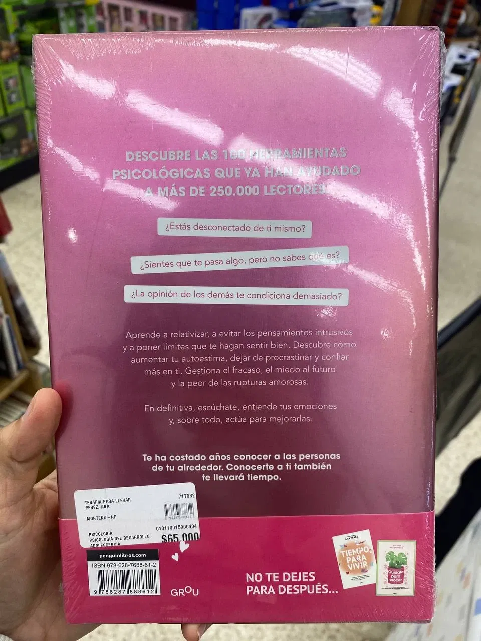 Reading The Book: Takeaway Therapy