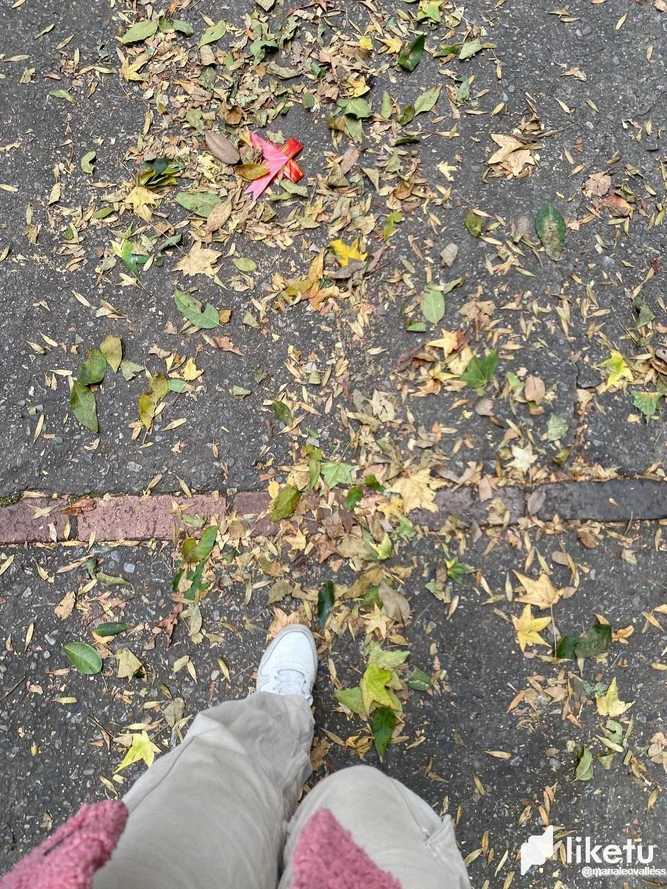 Inspiration, walking and breathing