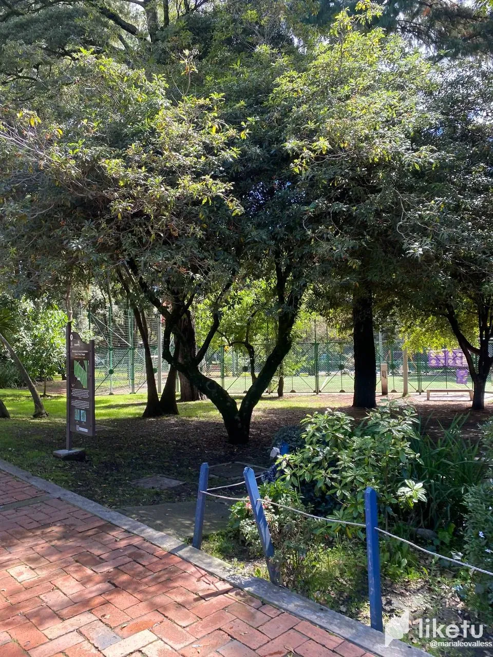 Virrey Park expedition at Bogota DC.