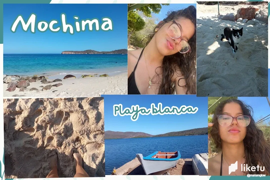 fdTTycSwVZ8pq2Qu_Mochima_20250131_074546_0000.webp