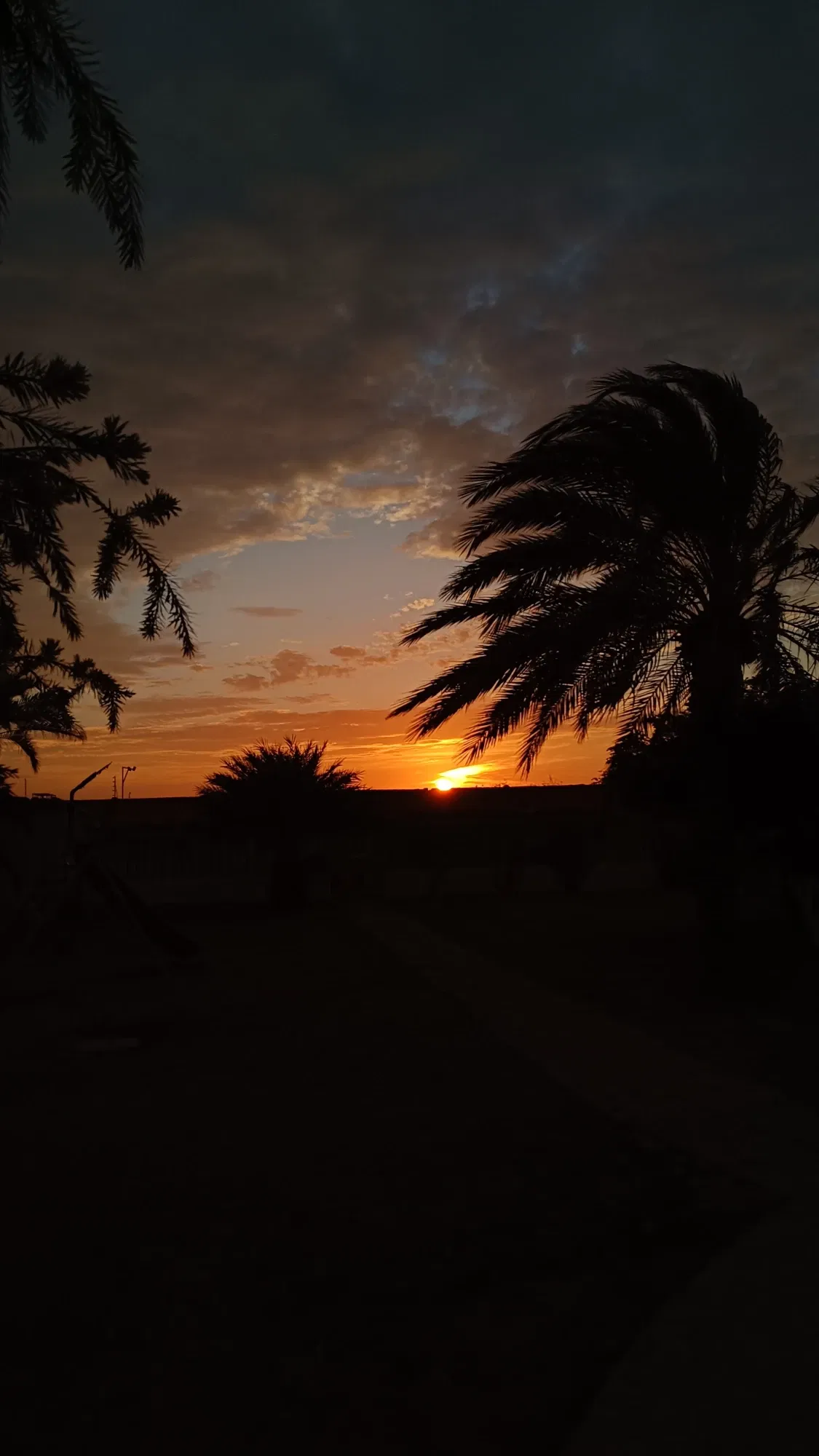 EaH8Wt83VdHxiAvh_1000402159.webp