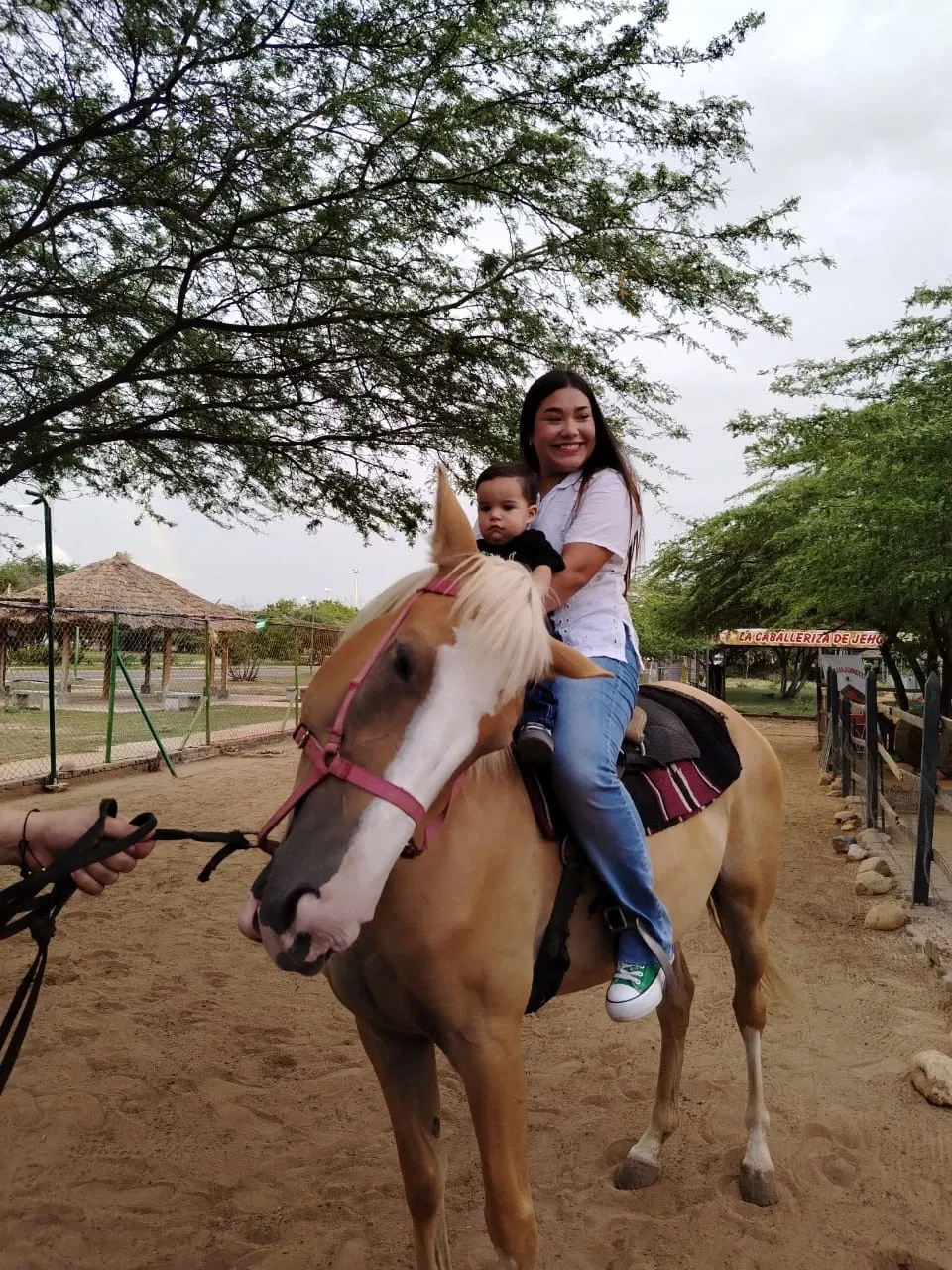 s1CBW8PLIMUhjBXl_IMG-20250628-WA0234.webp
