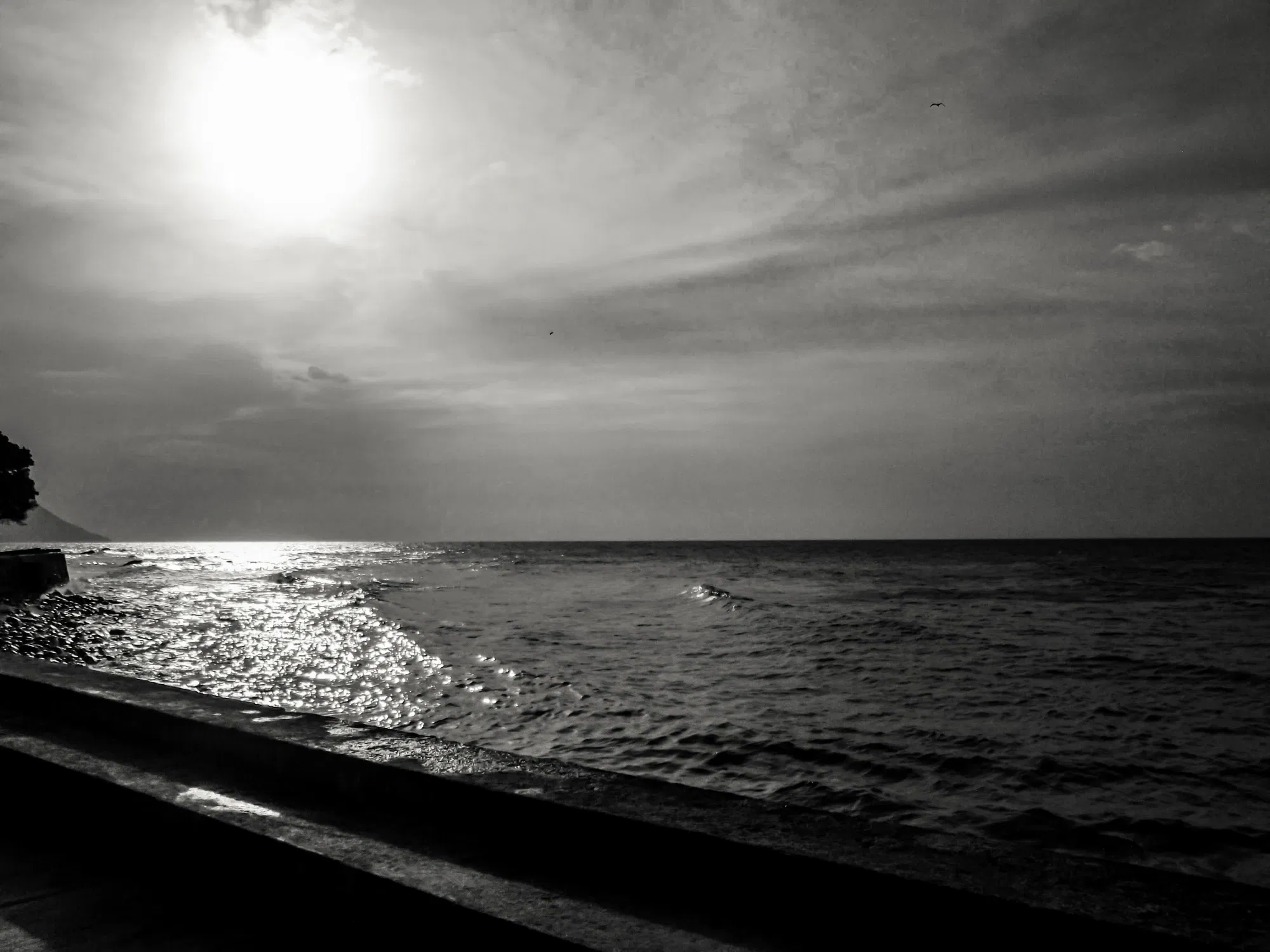 a5eeToxM6z9XivYl_DSCF6507.webp