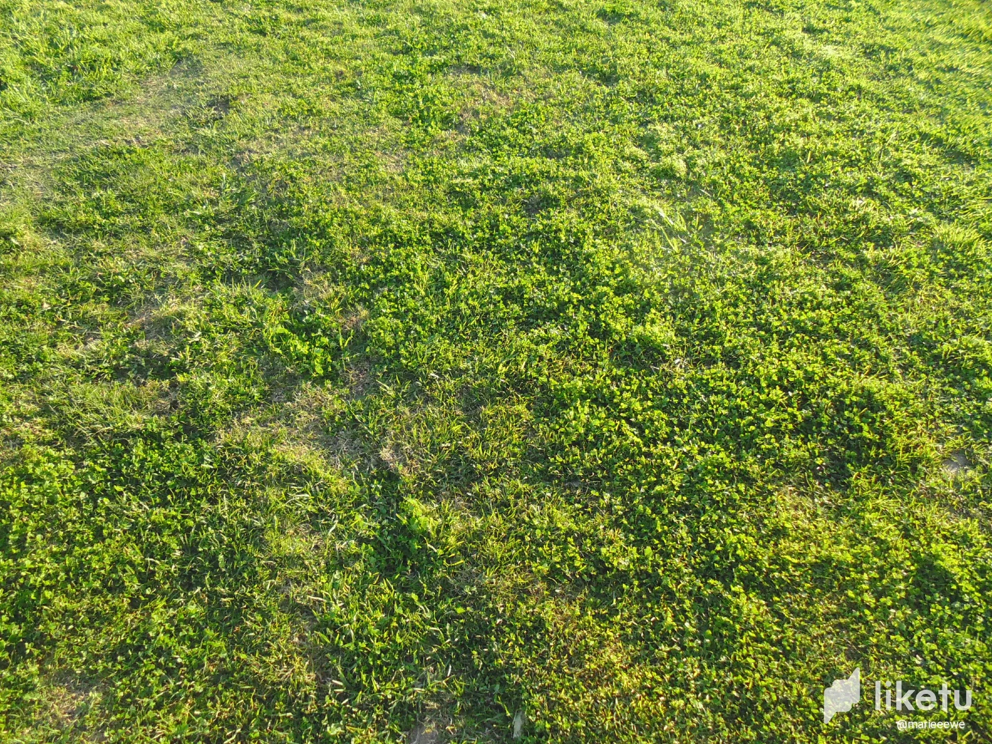 Day on the rambla with my family 