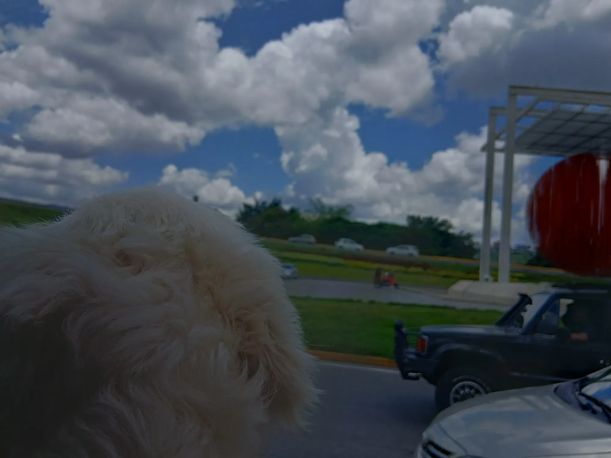 uqH7QXBKM1ovvAWM_1000037204_1.webp