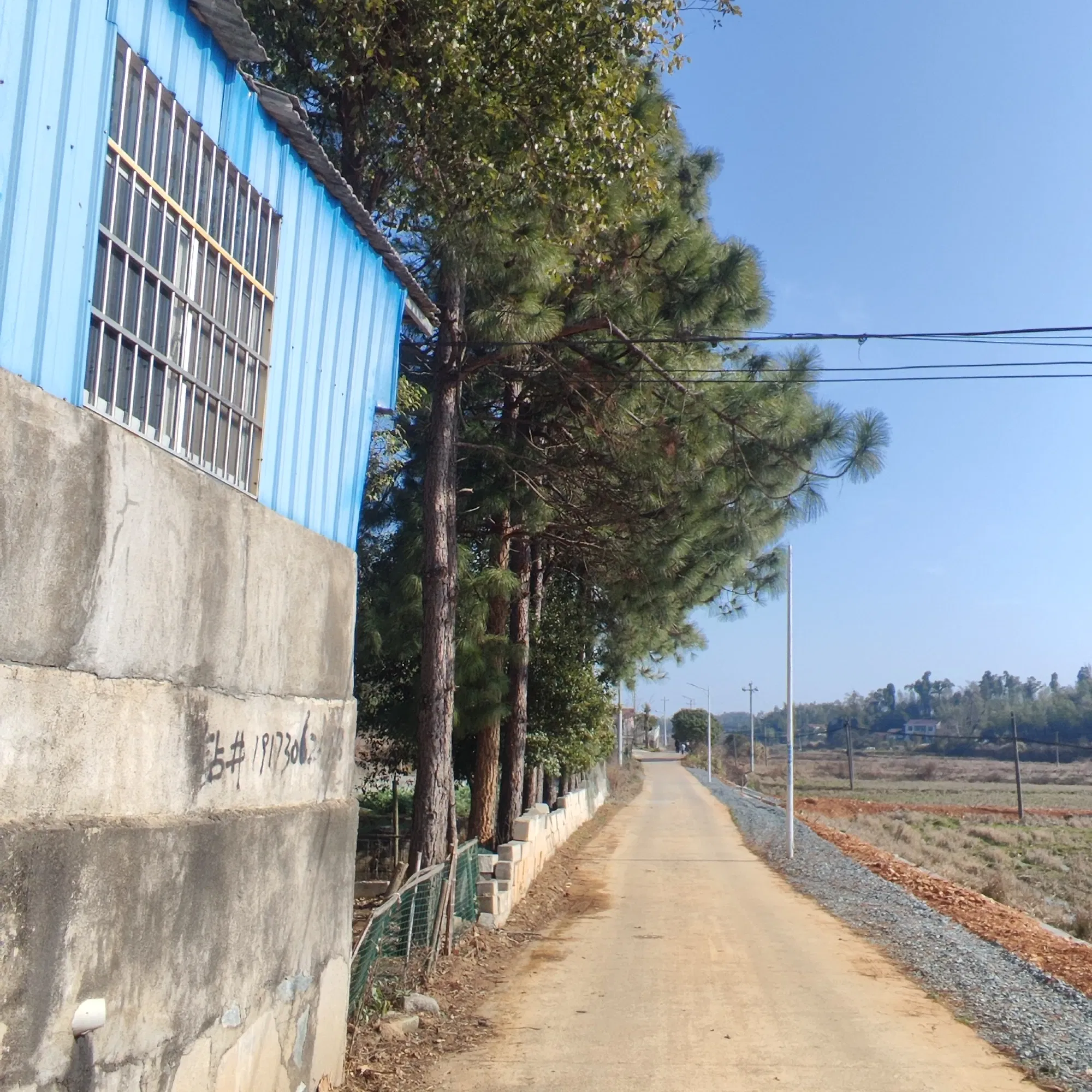 大年初四，继续拜年，吃团圆餐