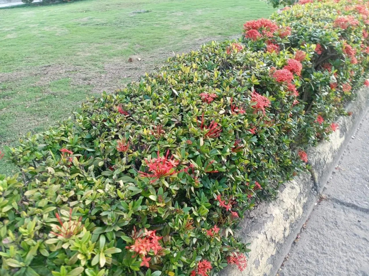 7bGLZ8yO5FJ07F46_IMG-20250915-WA0027.webp