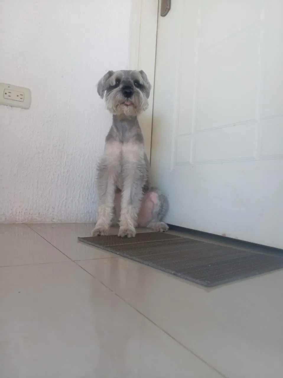 VlgWzVNW0BZT24lE_IMG-20250914-WA0050.webp