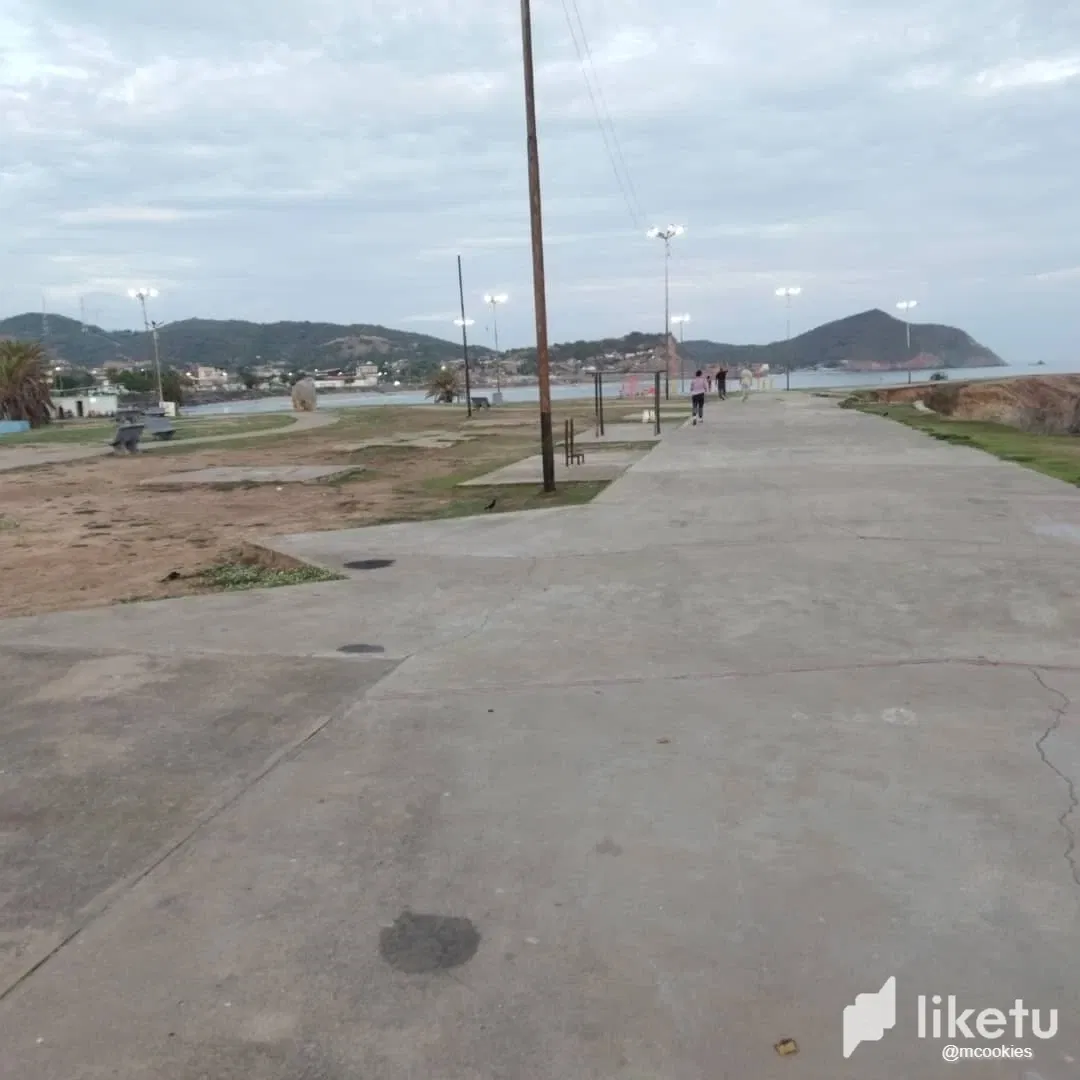 YNGhPYE4AAeeCyTC_09058.webp