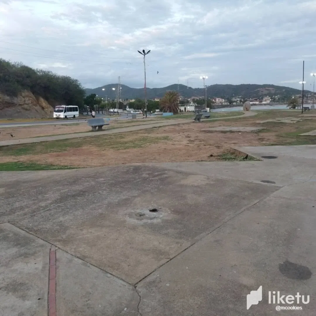 Zr8hQ7xuC2Rh0dUs_09059.webp