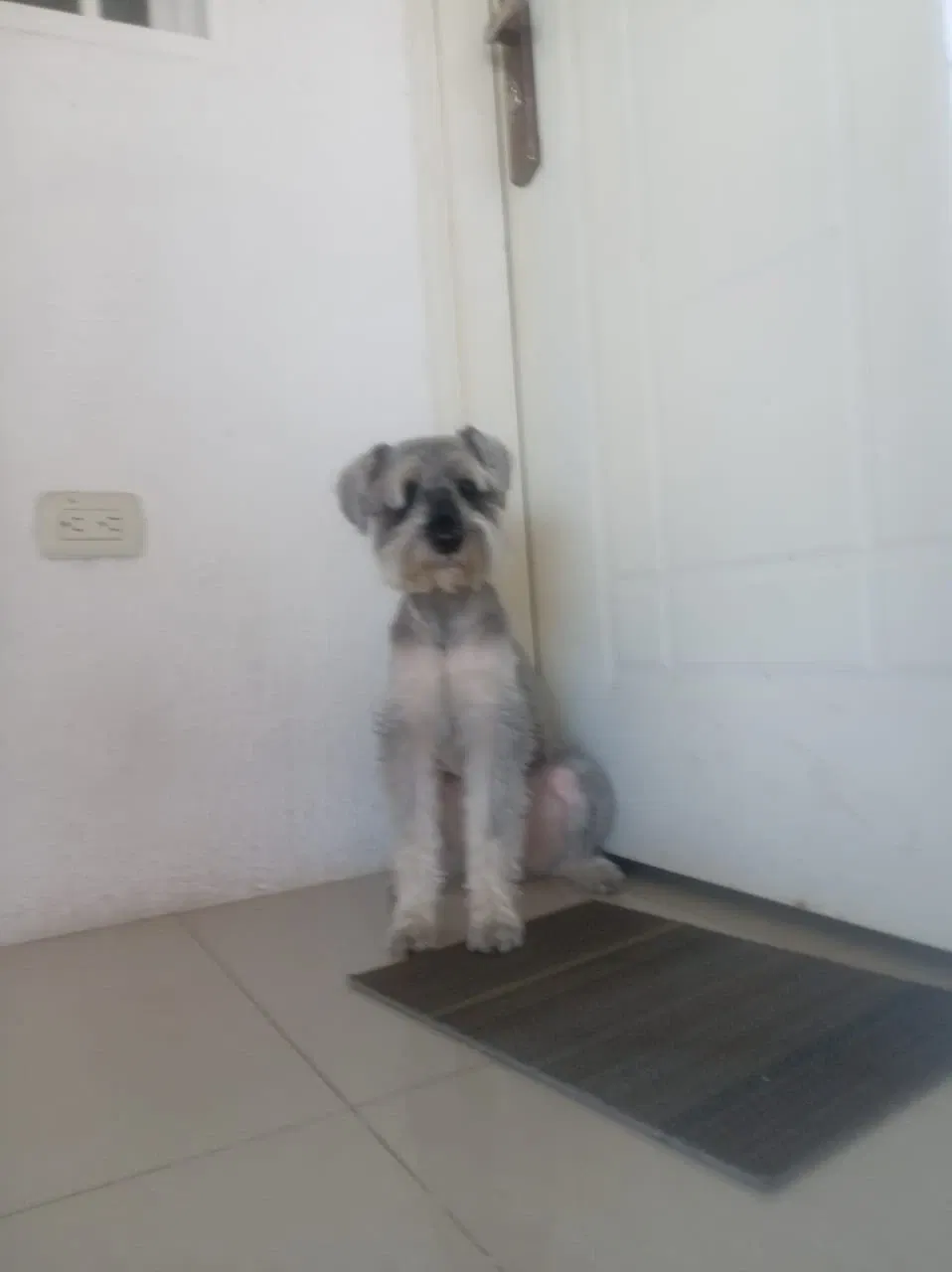 d1tLu3R0g9KDtXQm_IMG-20250914-WA0048.webp