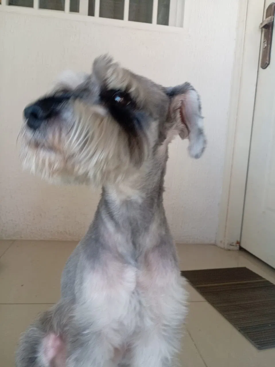 fmcibFEd0Pq6Phuo_IMG-20250914-WA0052.webp