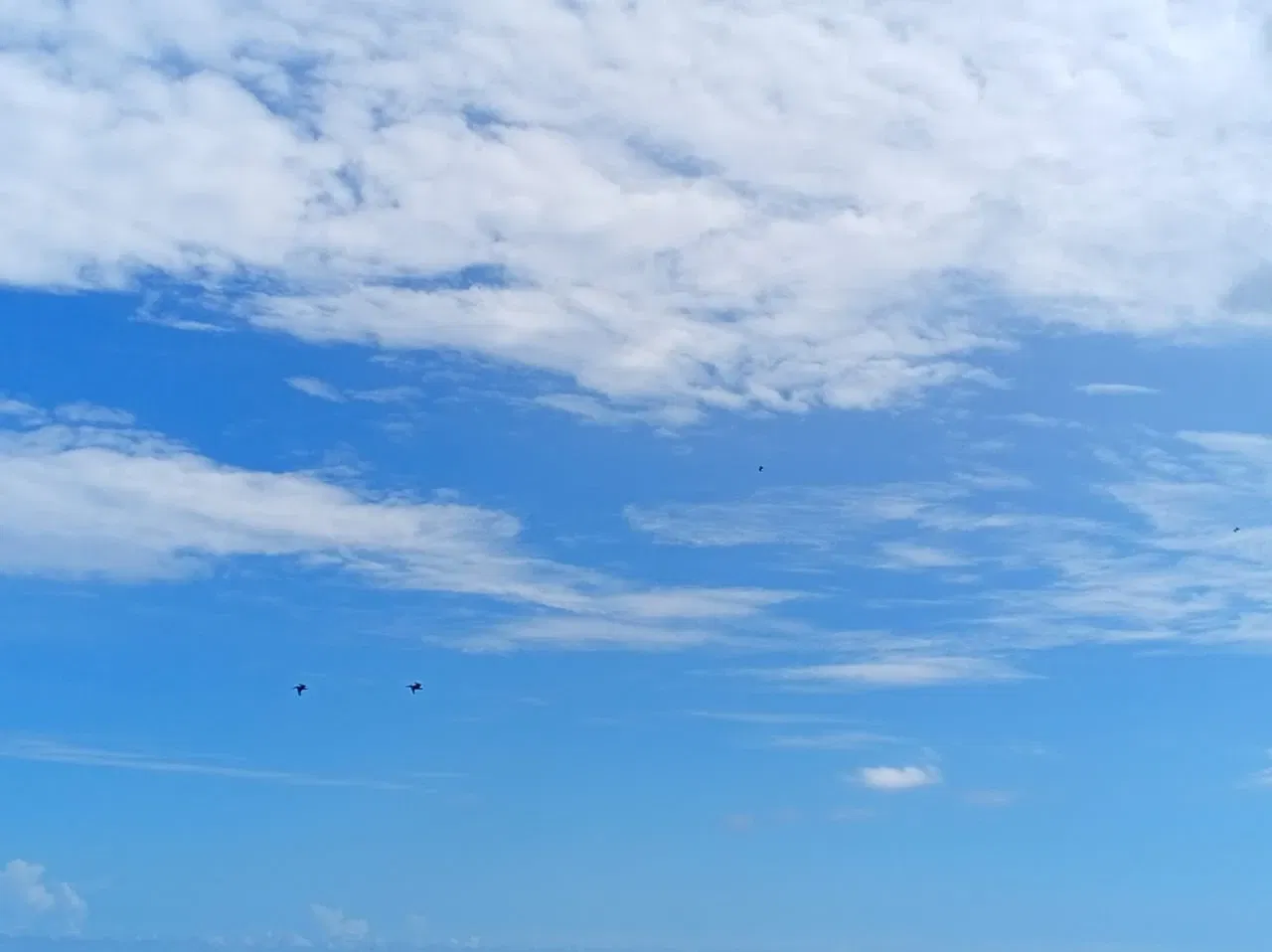 iA8CzrxtogCnUxoj_IMG-20250810-WA0015.webp