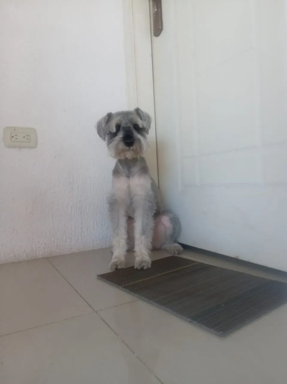 na6fLUrv9NbGt5Pv_IMG-20250914-WA0051.webp