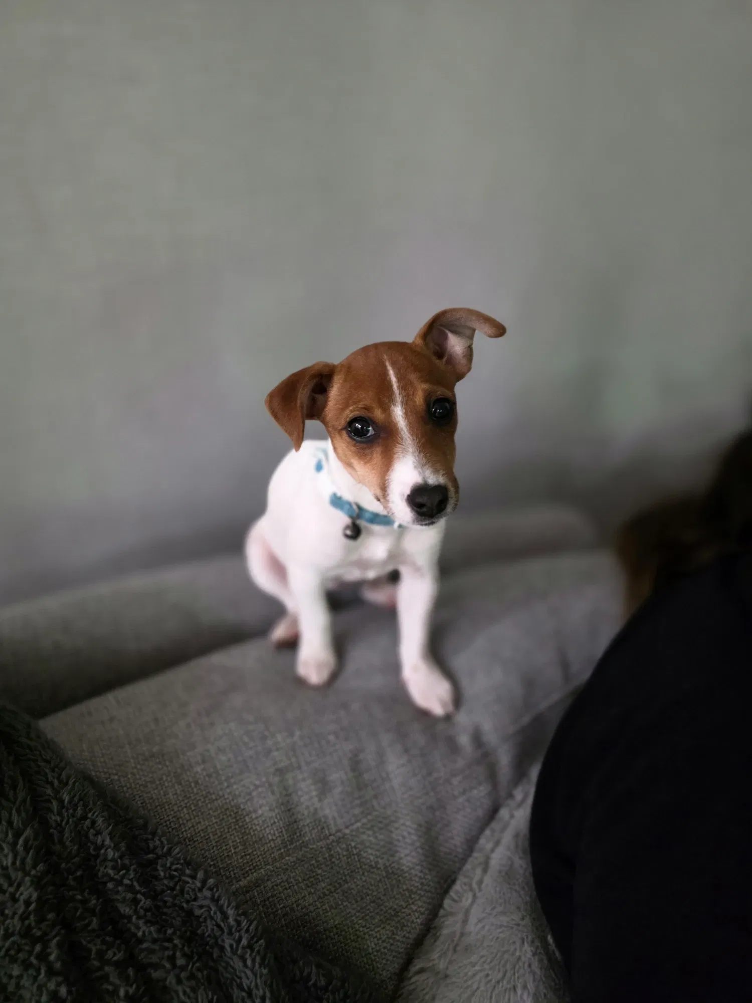 m5JOrNFRuiYOZCtq_1000004586.webp
