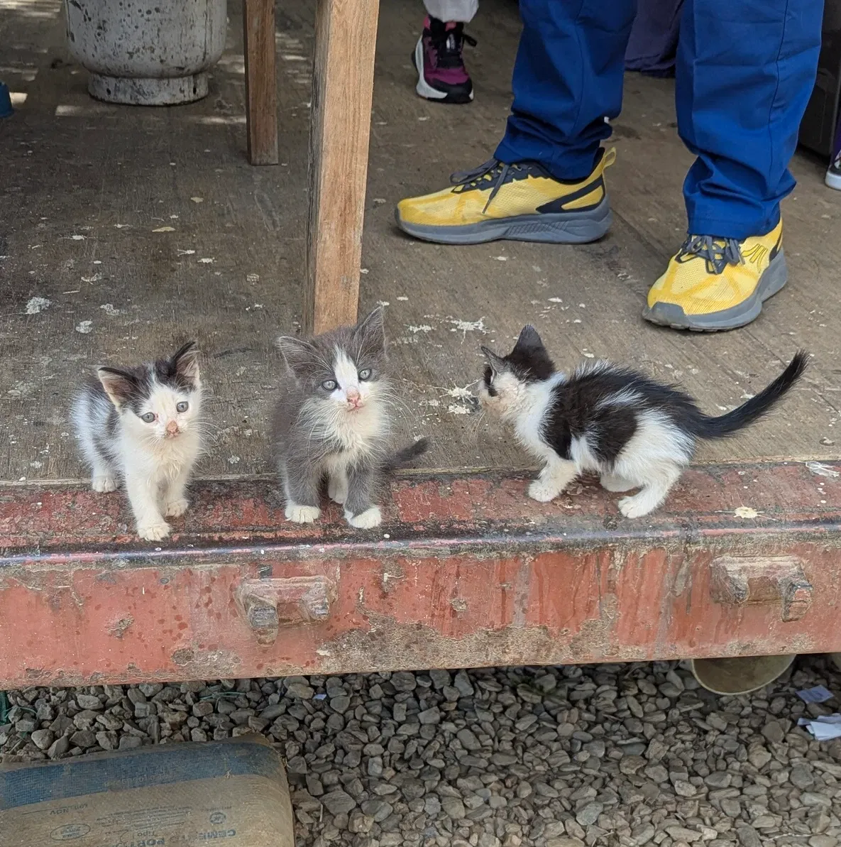 sGTNXSXopASX6nw8_PXL_20250215_162651062.webp