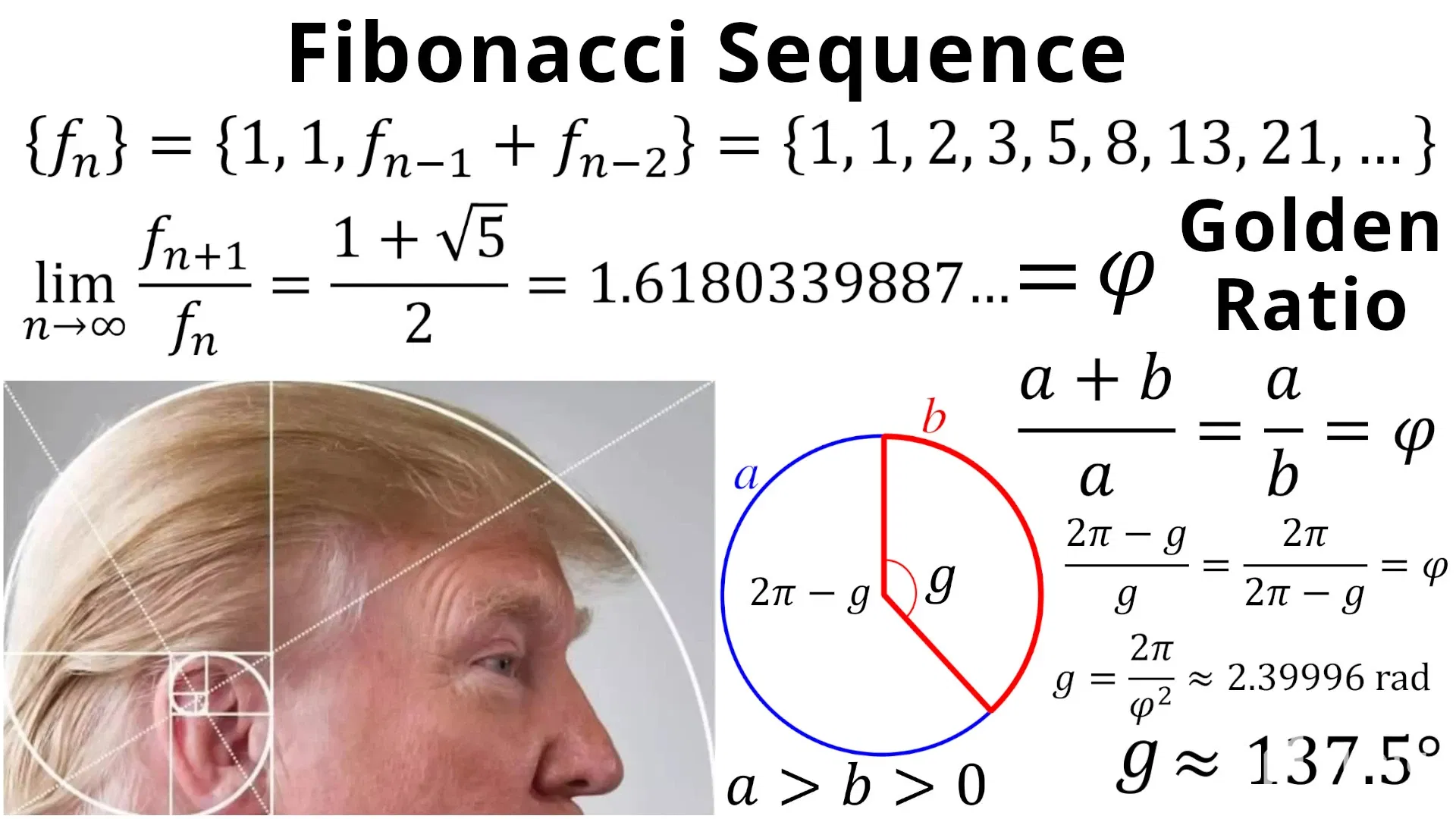 z2TmIXlYFxtPwVpb_18_Fibonacci_and_Golden_Ratio.webp/