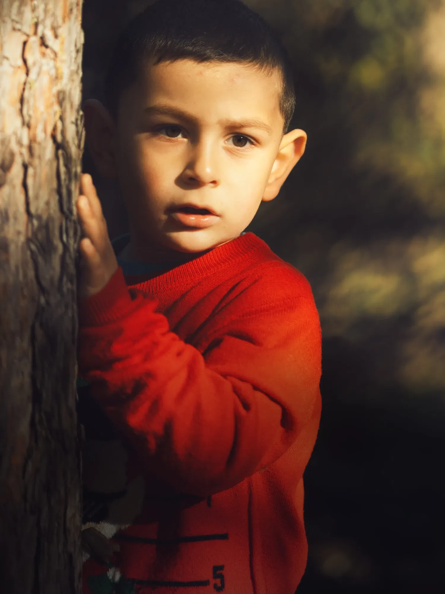 F7qI2FeLsGsWu…
Payout: 0.000 HBDThe Pure Magic of Childhood Love: Captured Through Cinematic Photography
2025-01-10 04:27<liketuimages> <center> ![wSNHgH8JTg0R1del_dfe-min.webp
